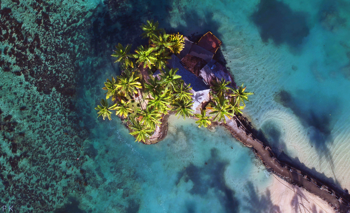 Prem kurumpanai 726003 unsplash