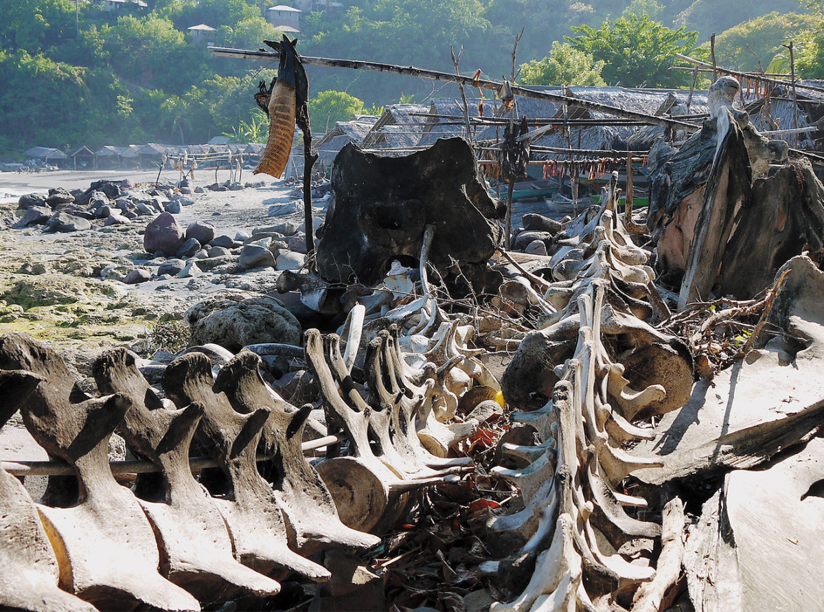 A whalebone shrine at the end of Lamalera Beach.