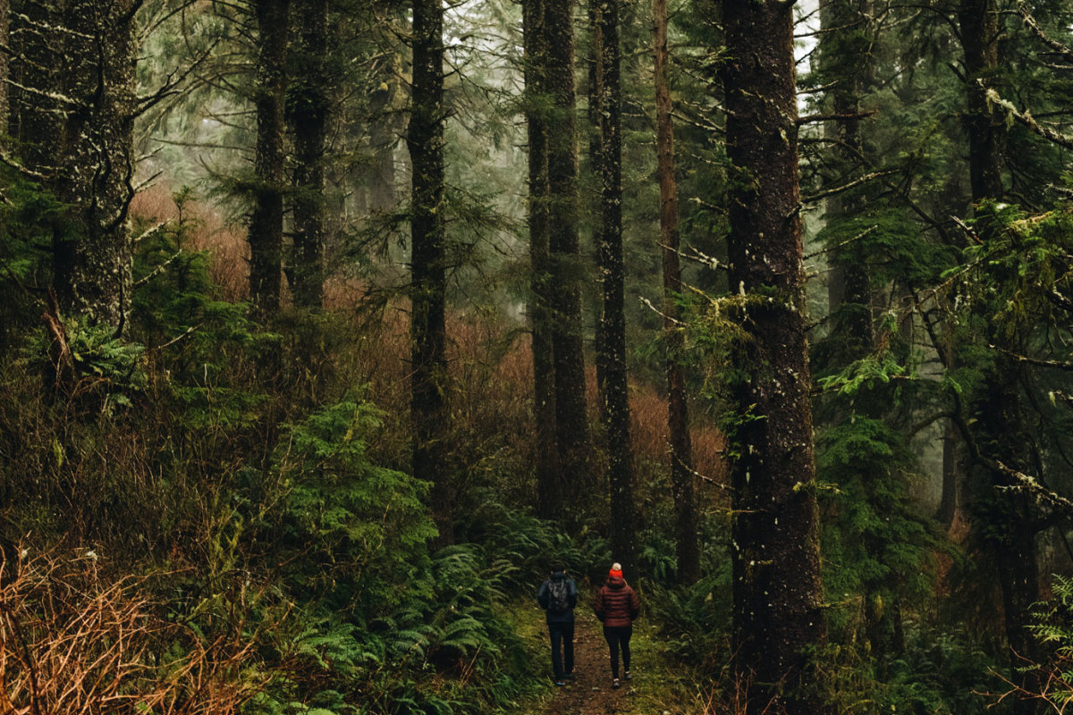 Two Rivers Nature Trail at Nestucca Bay National Wildlife Refuge