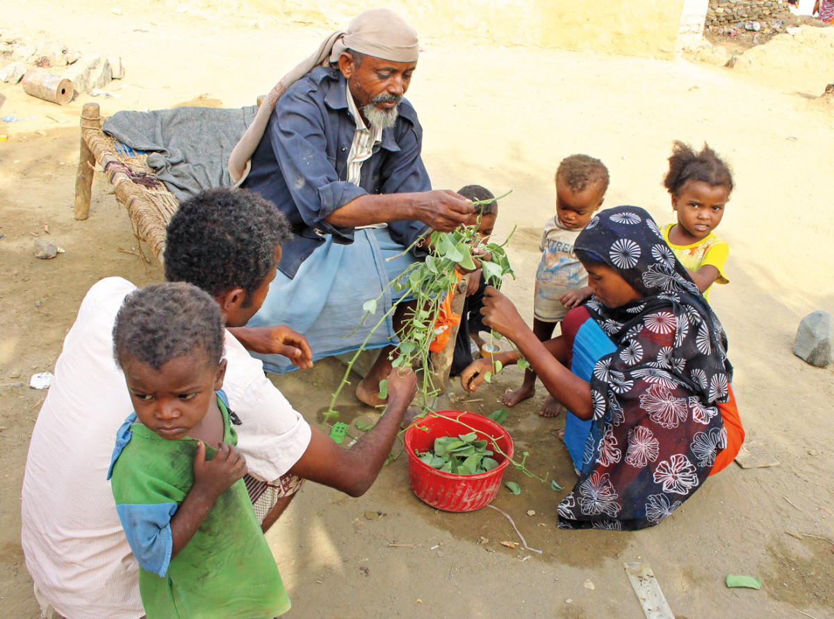 A man feeds children leaves. Three- quarters of Yemen’s population now depends on aid, but many become desperate when food fails to reach their village.