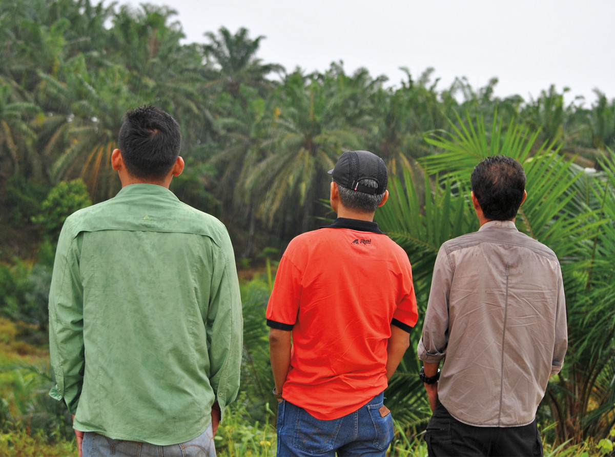 Three undercover investigators from Eyes on the Forest.