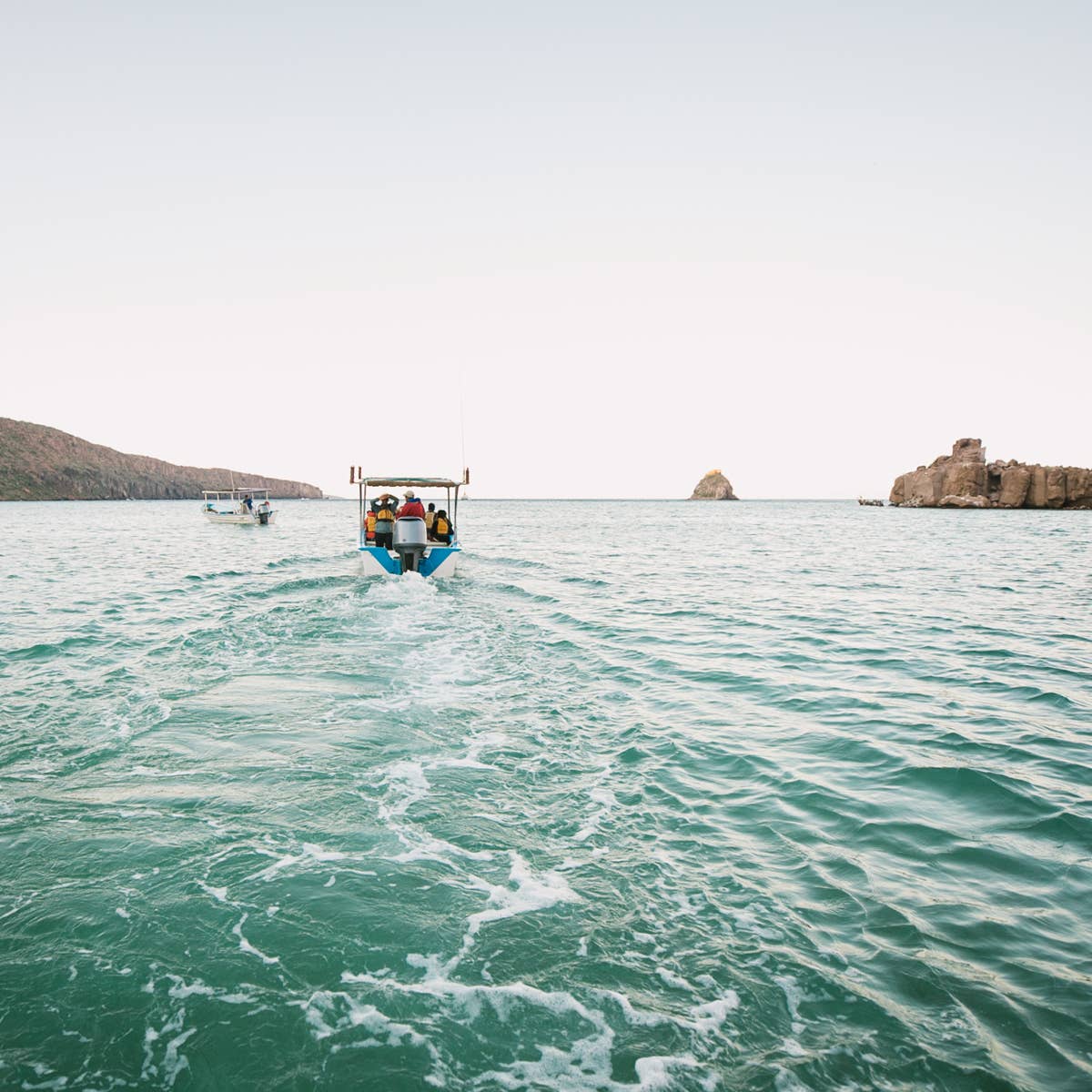 Chaco_Baja_CarsonDavisBrown 3187