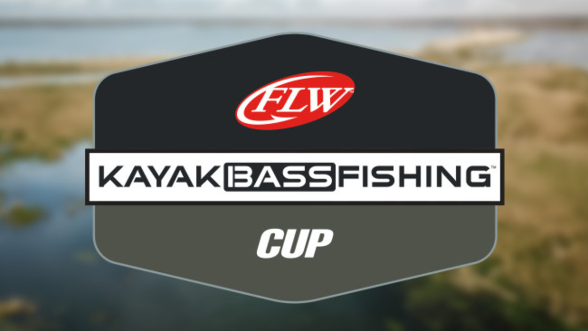 Kbf.flw.2019