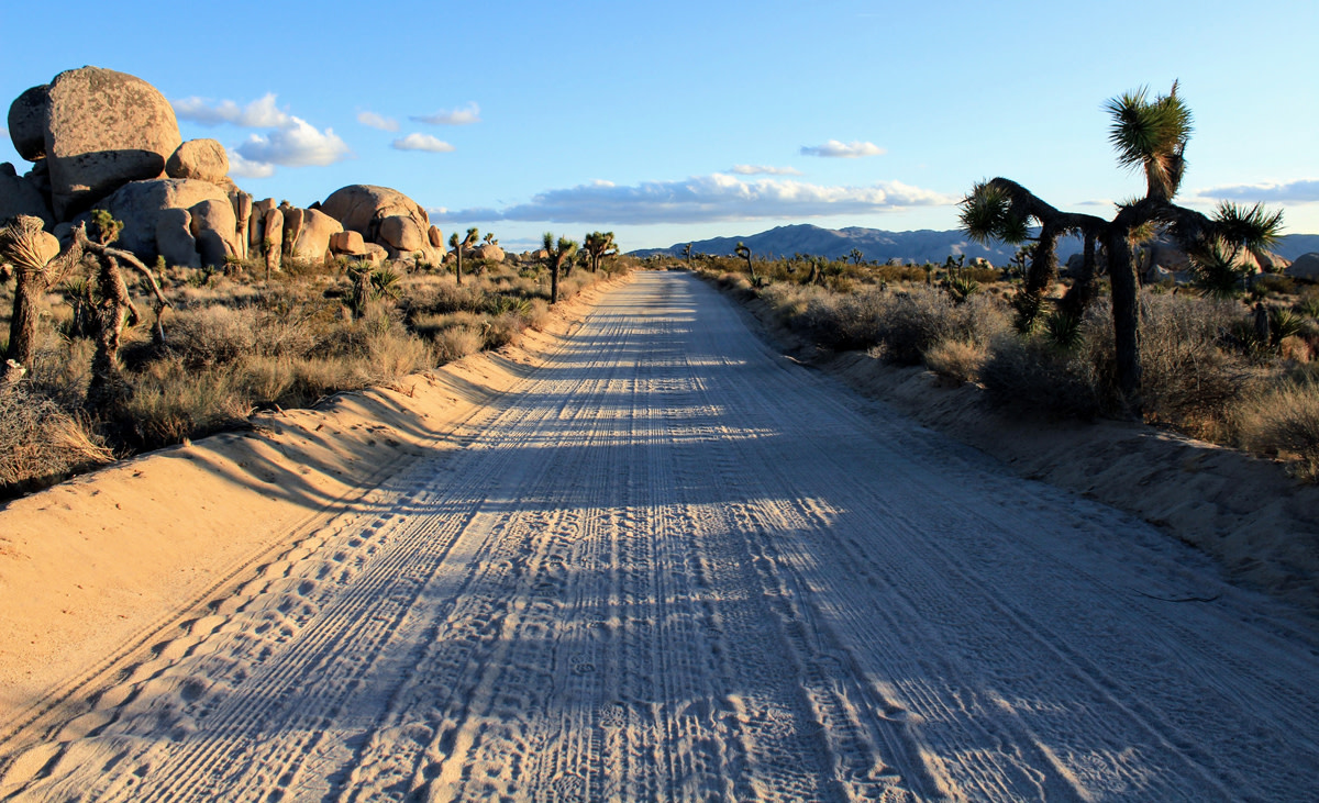 Tom carroll 1198754 unsplash