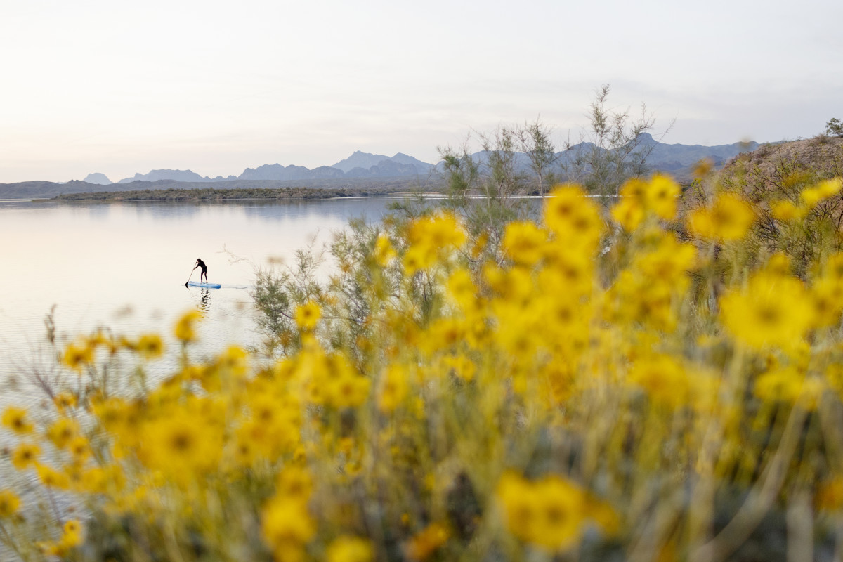 Boardworks Surf & SUP / Confluence