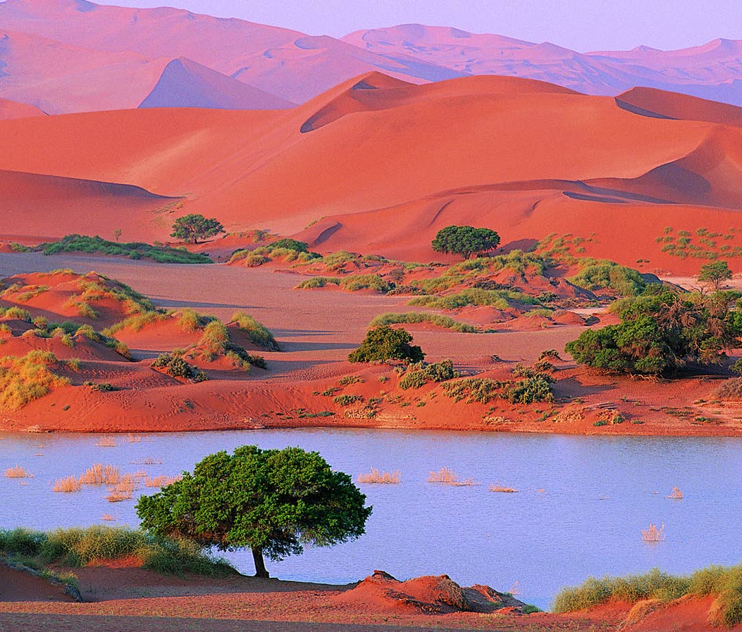 Digital Signage Solutions For Namibia Fugo Digital Signage Solutions For Namibia Fugo