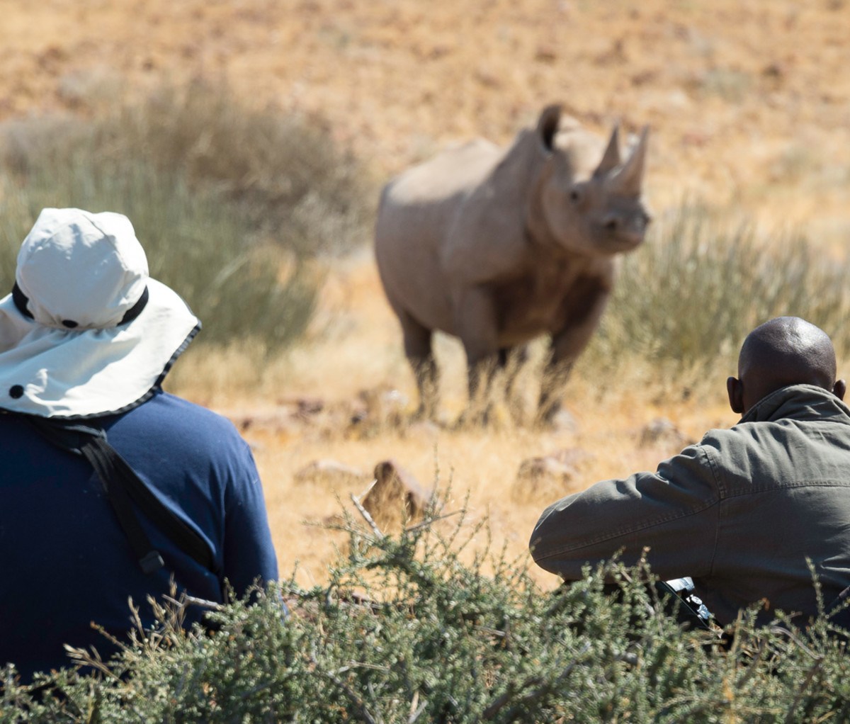 Desert Rhino Camp in Damaraland, Namibia
