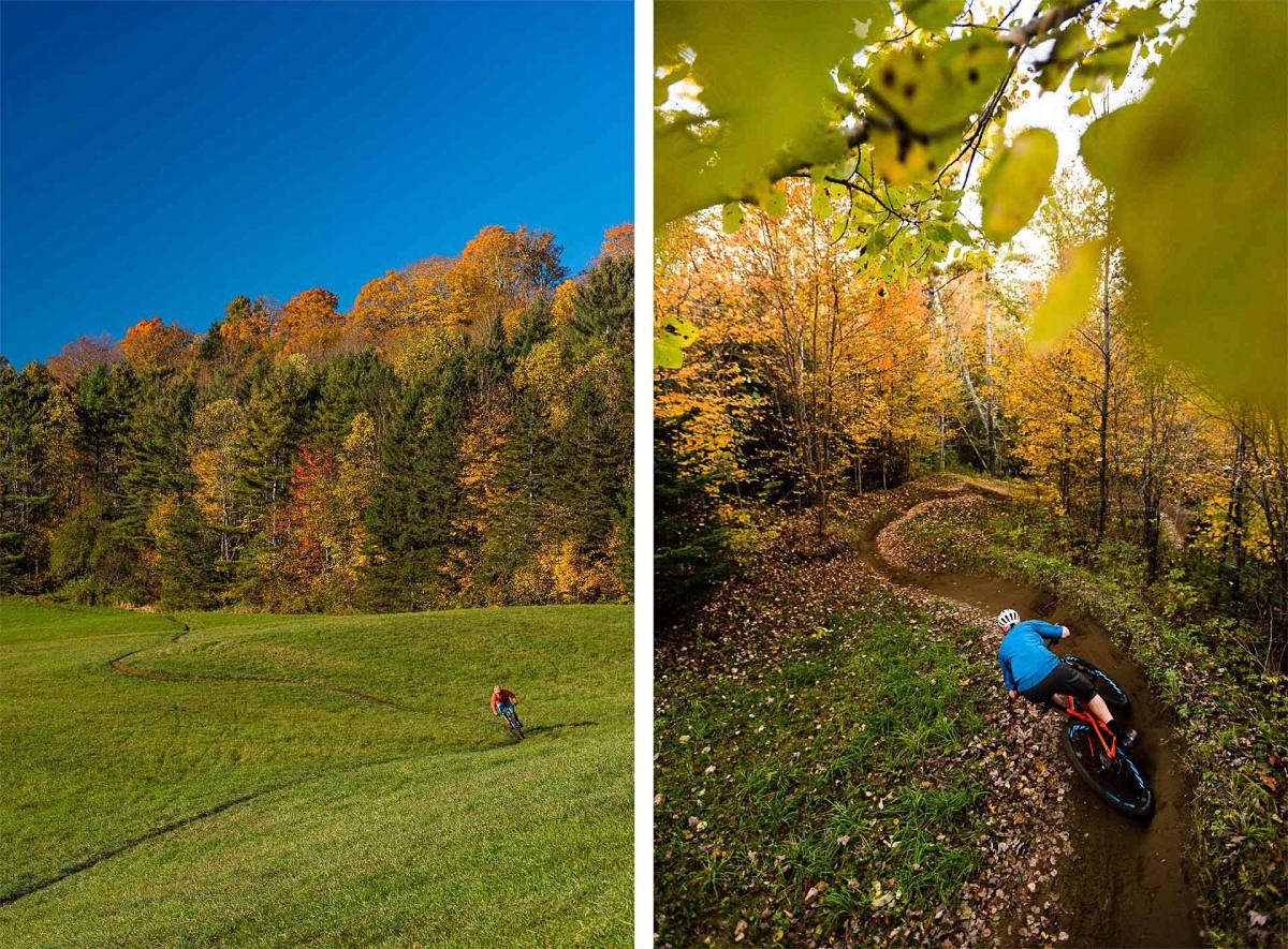 mountain bike field