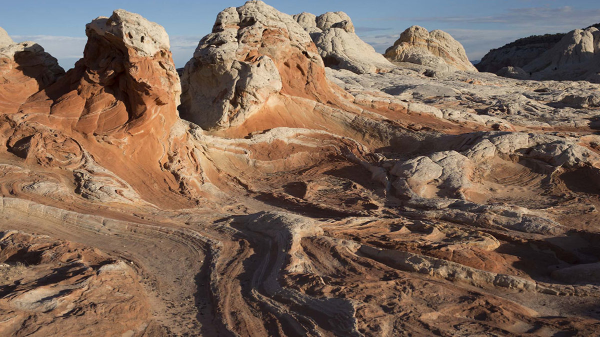 Hostile Planet / National Geographic