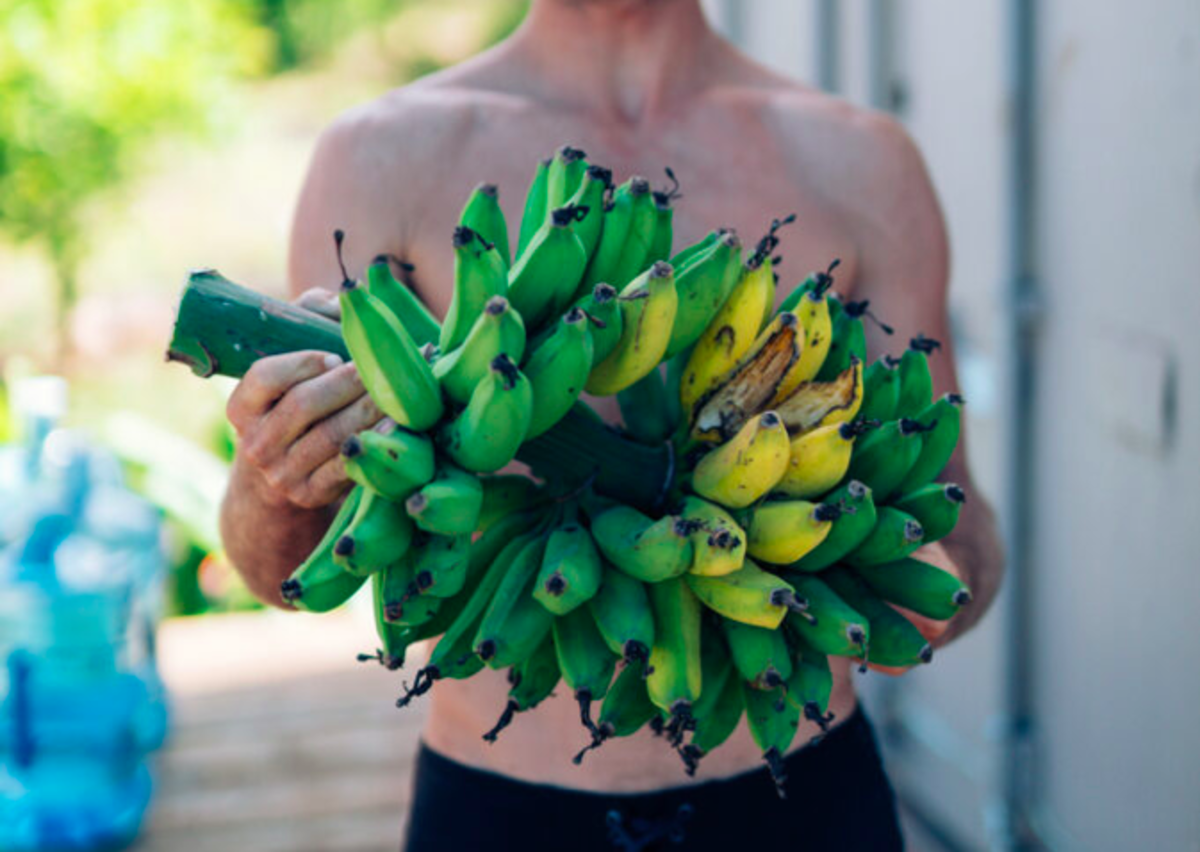 Zane Schweitzer bananas