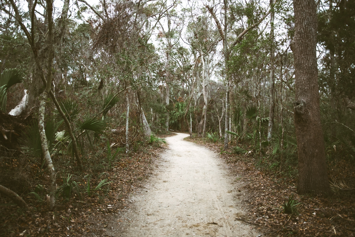 beach trail at Edisto Island State Park