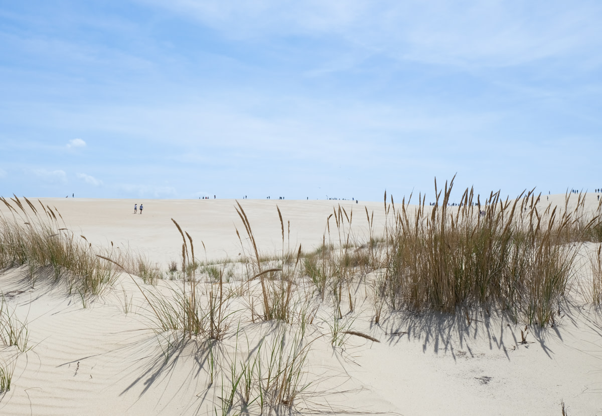 people walking on a sand dune