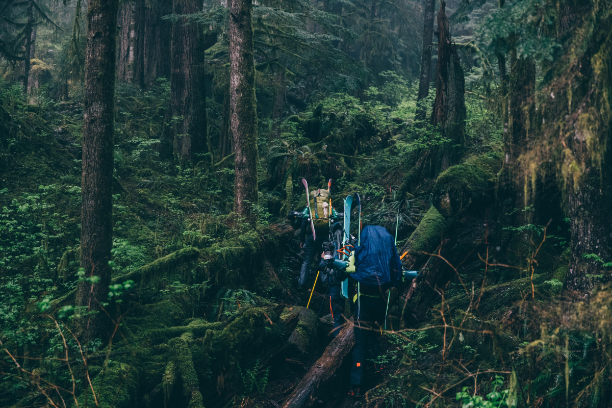 Hiking through the forest