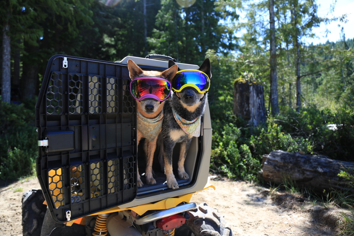 Gunner Kennels