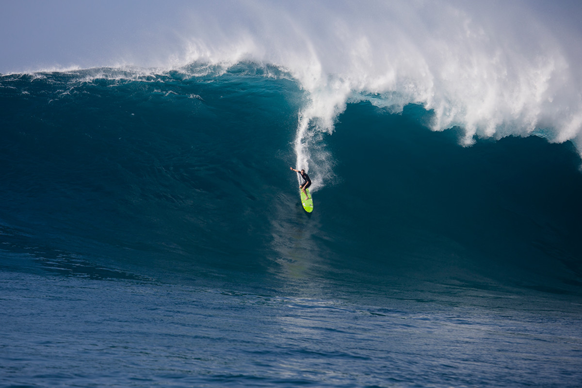 paige alms fred pompermayer jaws