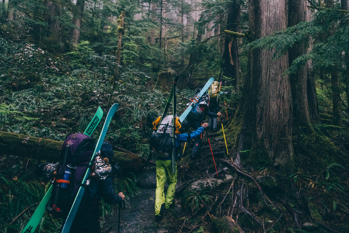 Rainforest hike