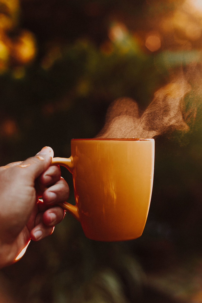 bone broth recipes for recovery