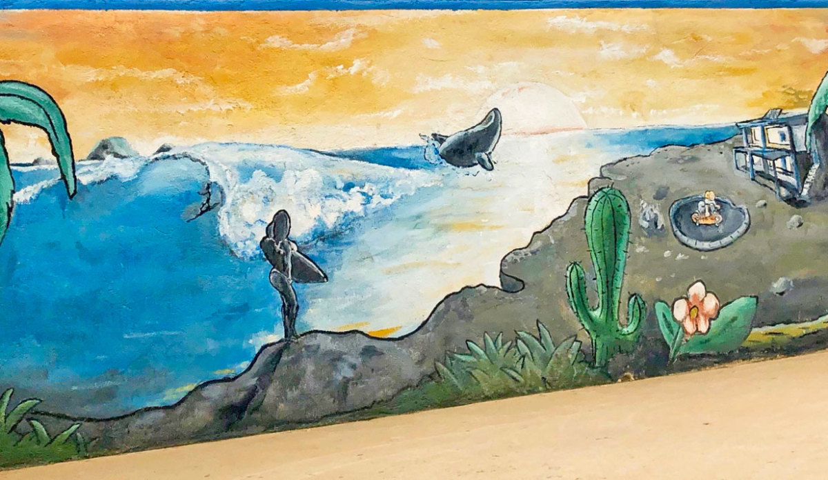baja surf trip