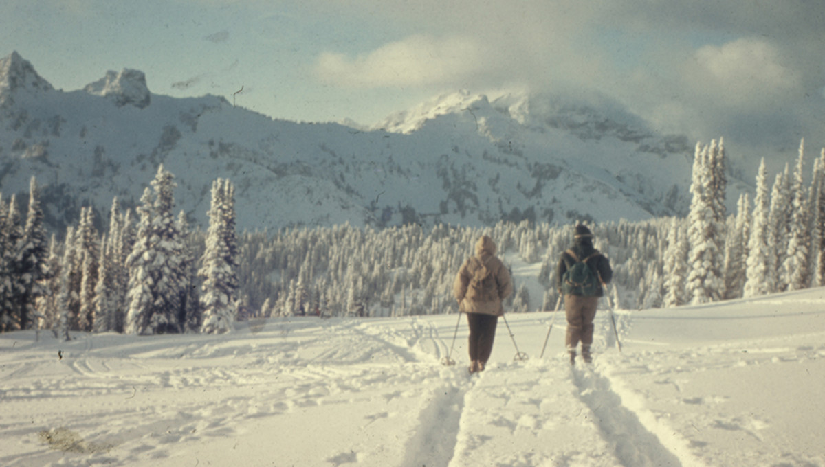 film photography