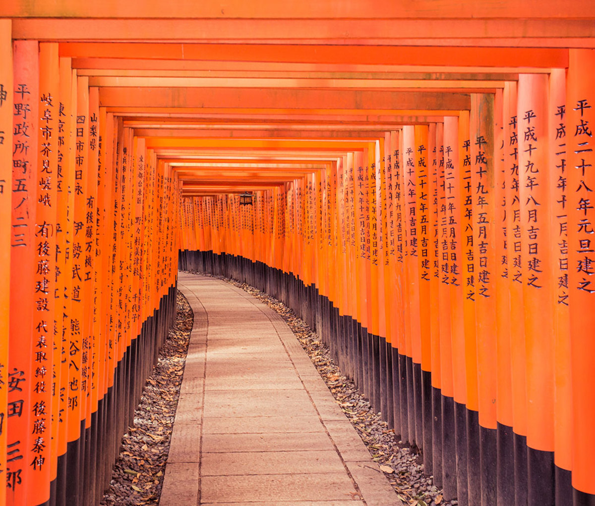Footpath Amidst Orange Torii Gates With Chinese Script