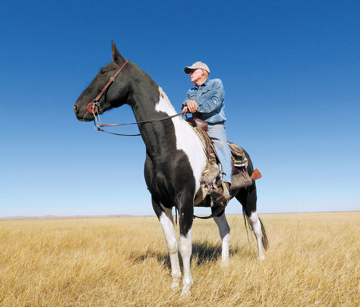 buffalo-man-on-horse