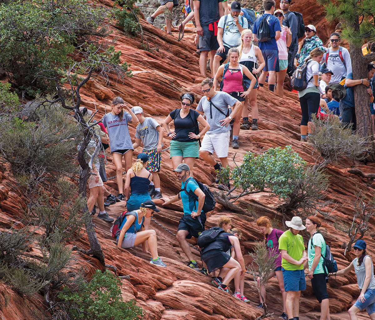 The crowds at Zion: They're not fun to deal with, but it's a clear sign of increased support for national parks.