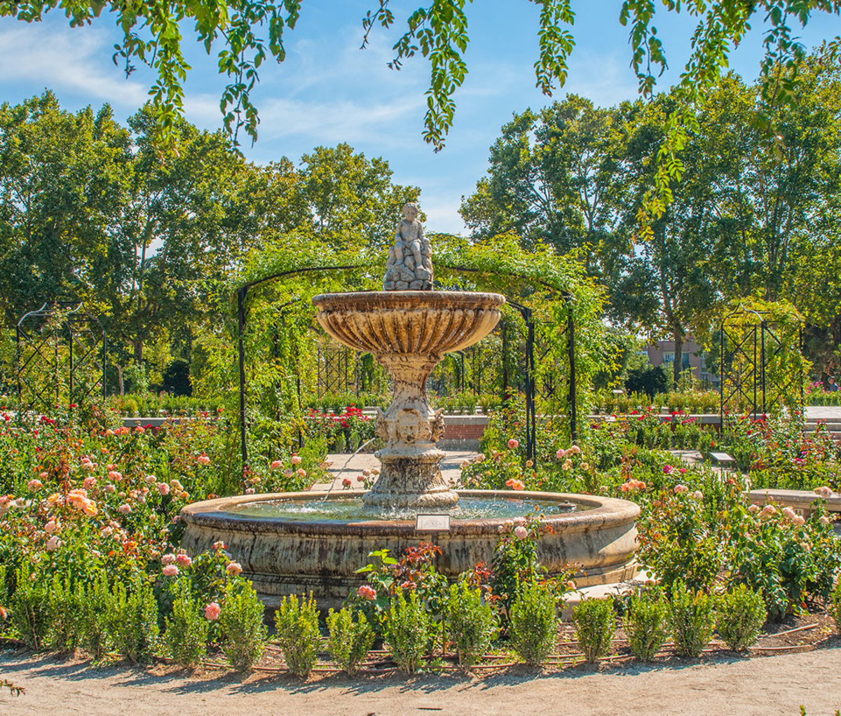 Rose Garden in El Buen Retiro Park