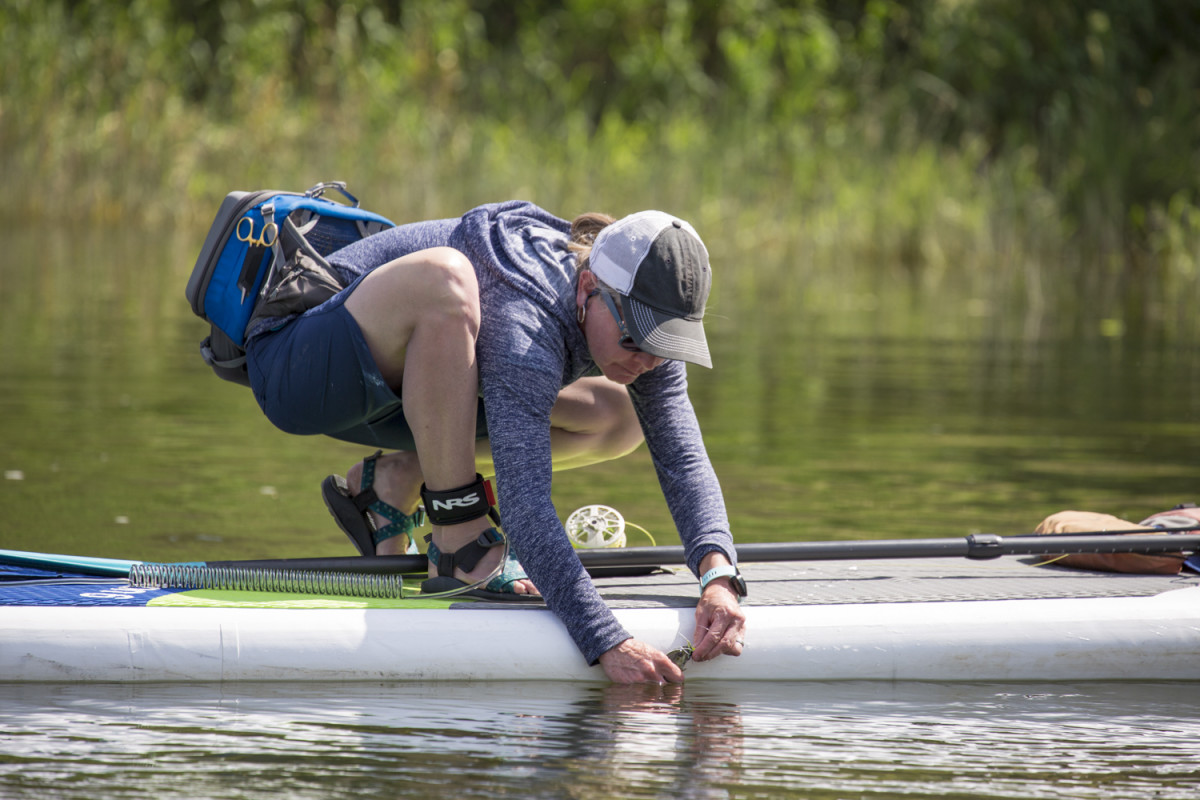 A woman releases a smallmouth bass caught while fly fishing from a paddleboard on the John Day River in Oregon.