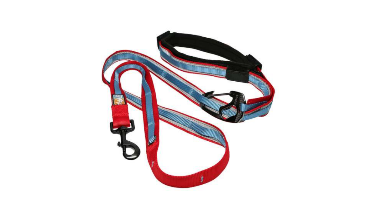 dog leash