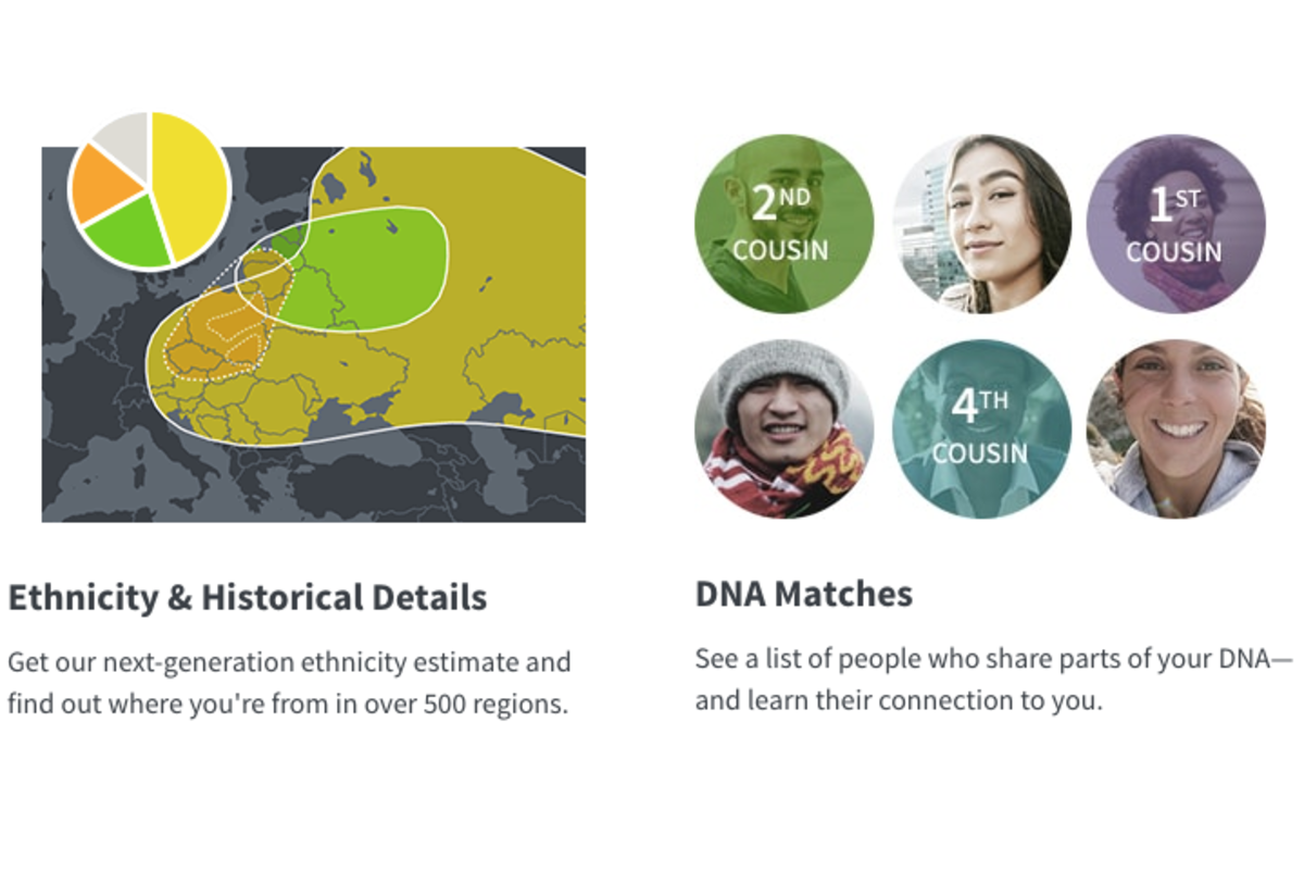 dna kit