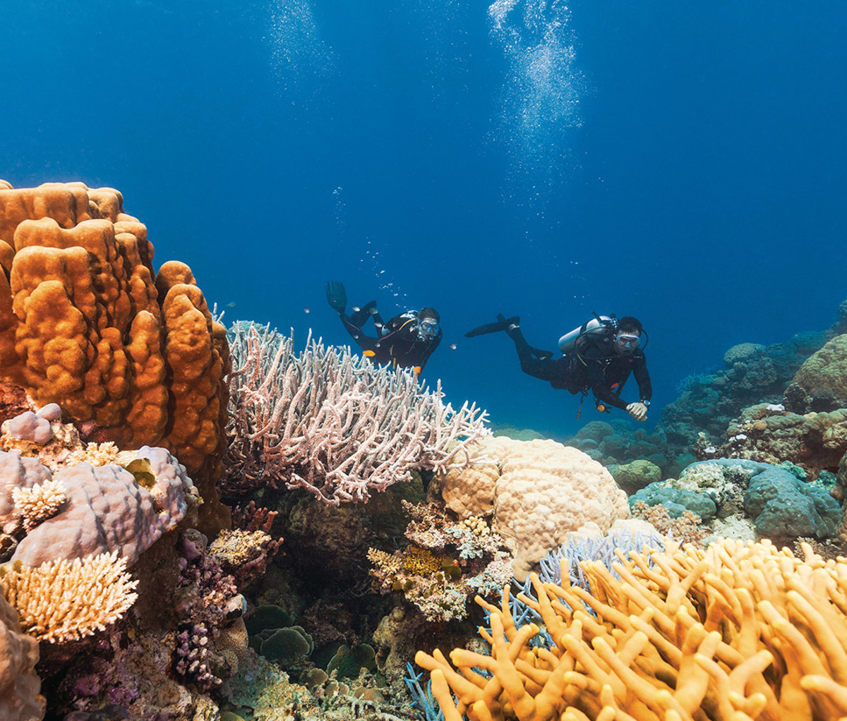 Diving with Ocean Dynamics