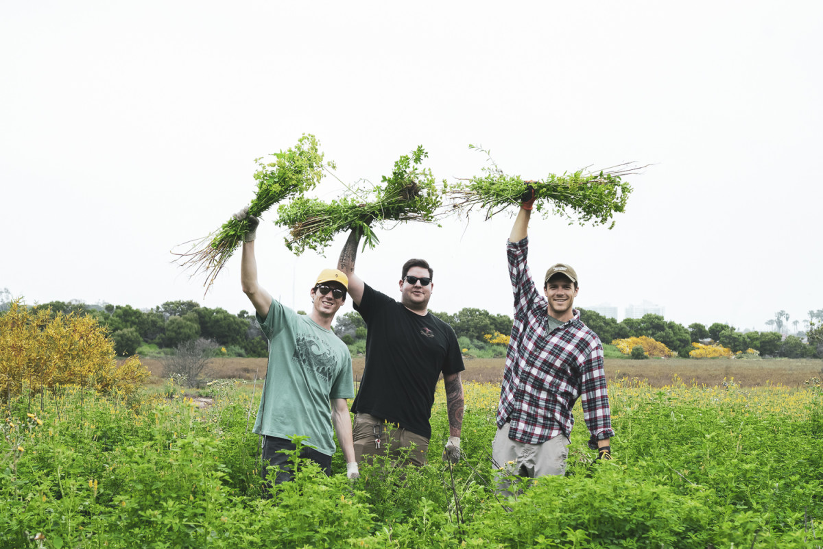parks project