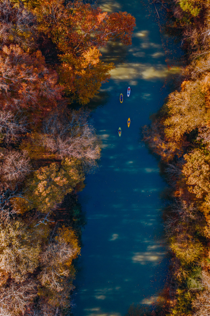 Alabama Waters. Image Evan Lanier, courtesy of Alabama Scenic River Trail