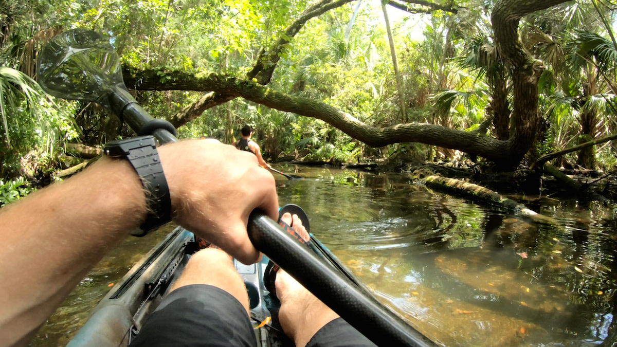 kayak chassahowitzka river florida
