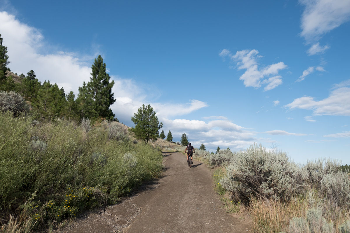 Mountain biker in Kamloops
