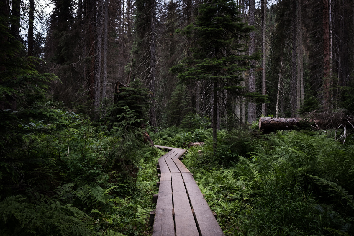 Rock Garden Trail in Canada