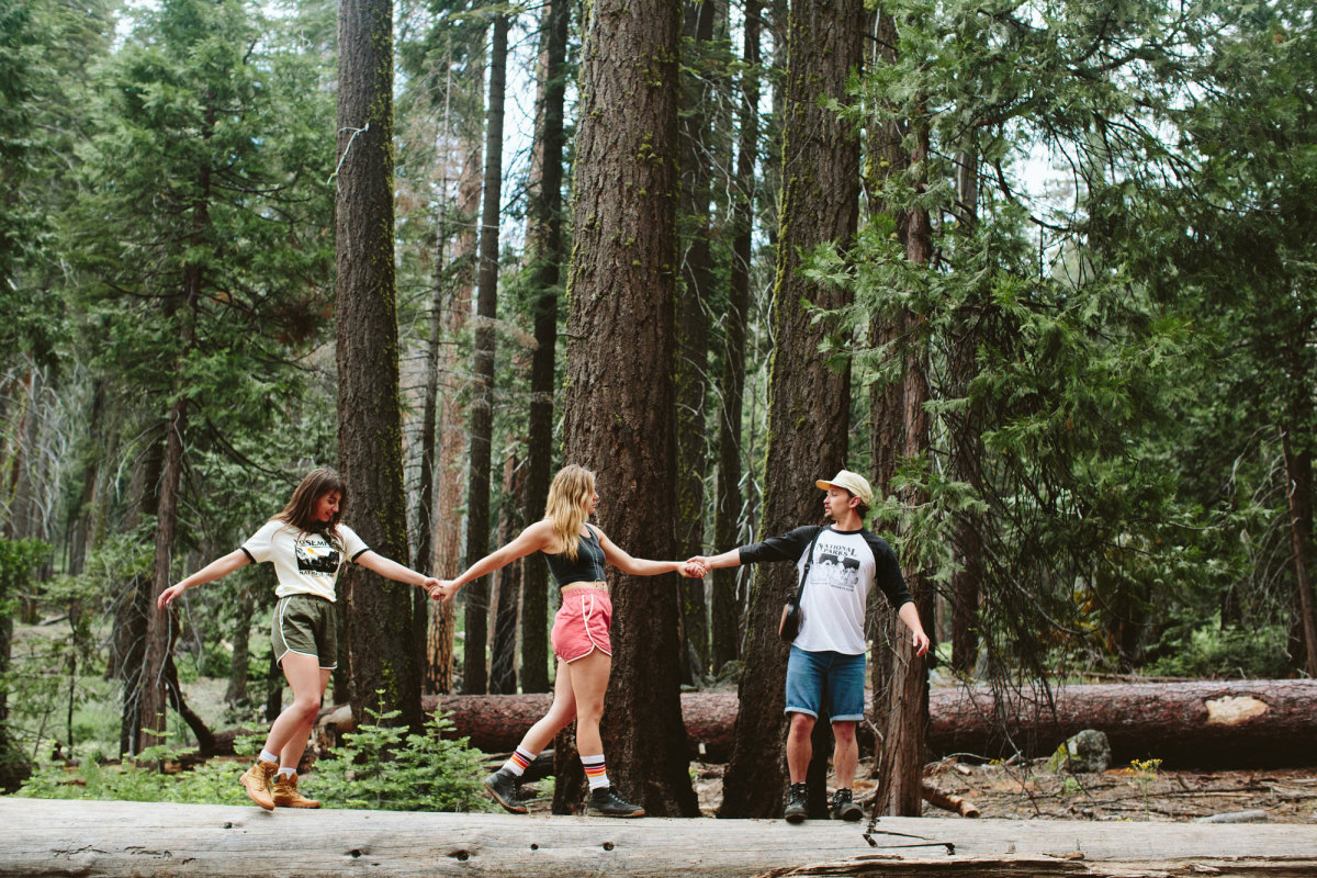 parks project