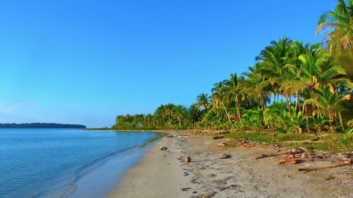 bocas del toro