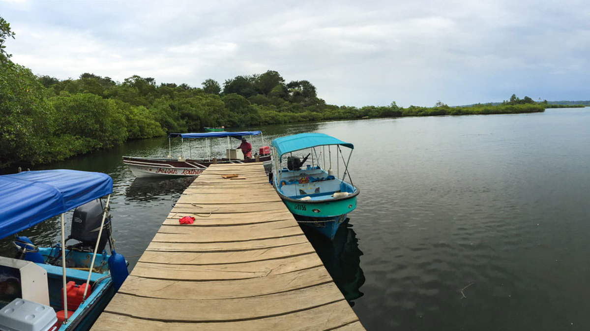 bocas del toro
