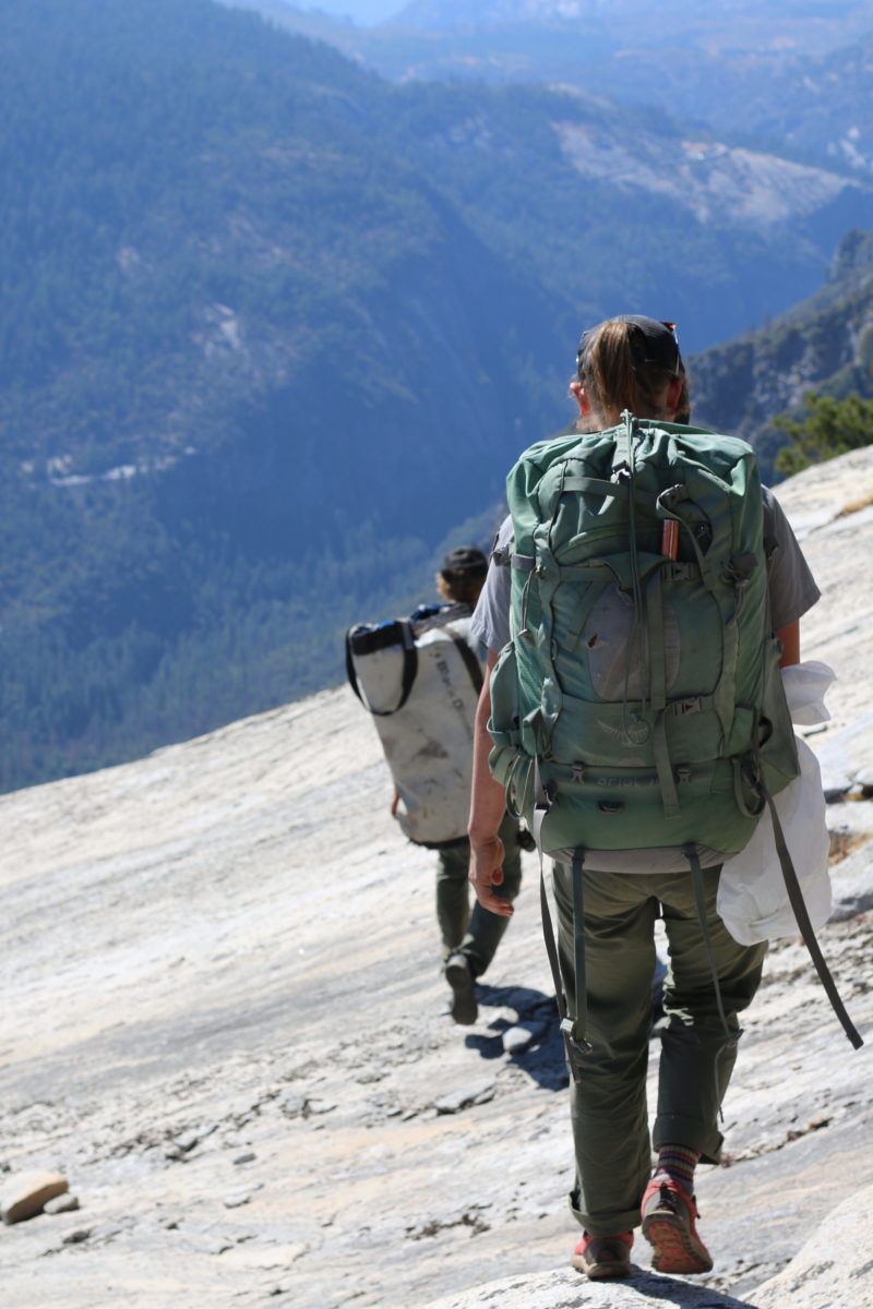 Walking on top of El Cap