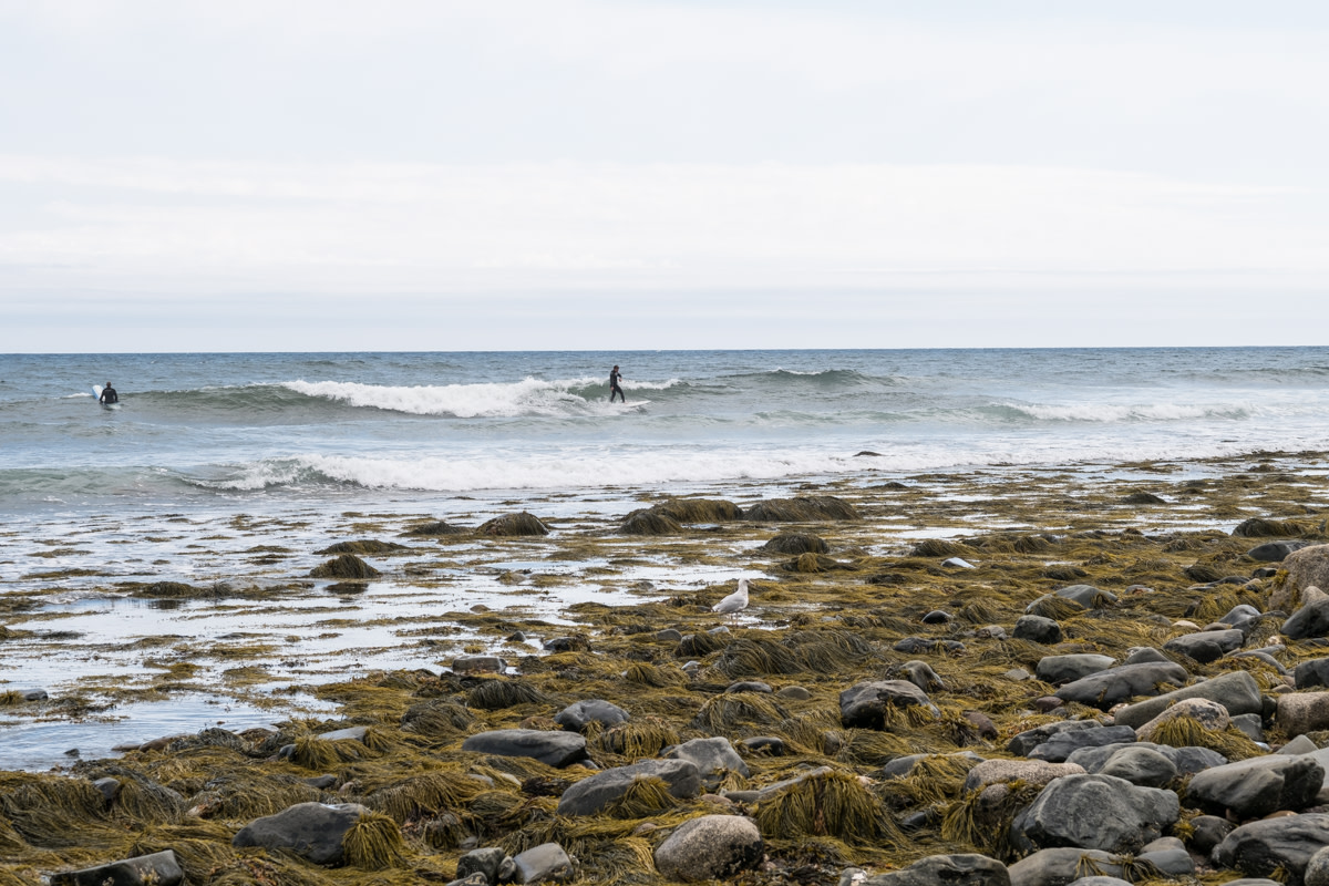 unknown surfer in Nova Scotia