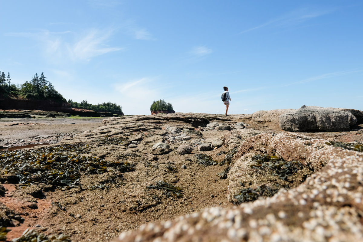 woman at Bay of Fundy