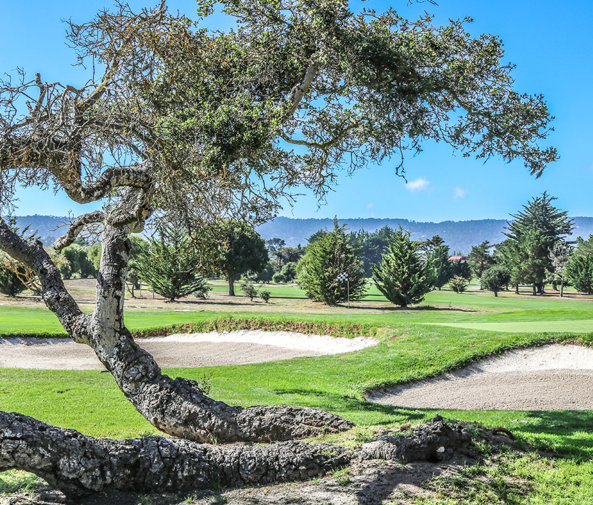 The 16th Hole at Del Monte golf course