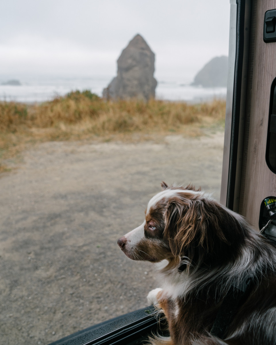 Dispatches: Two friends & a Dog Traveling the Oregon Coast in an Airstream Basecamp