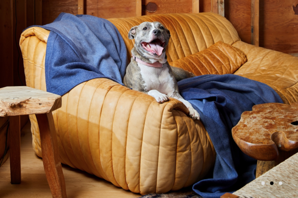 brooklinen habitat