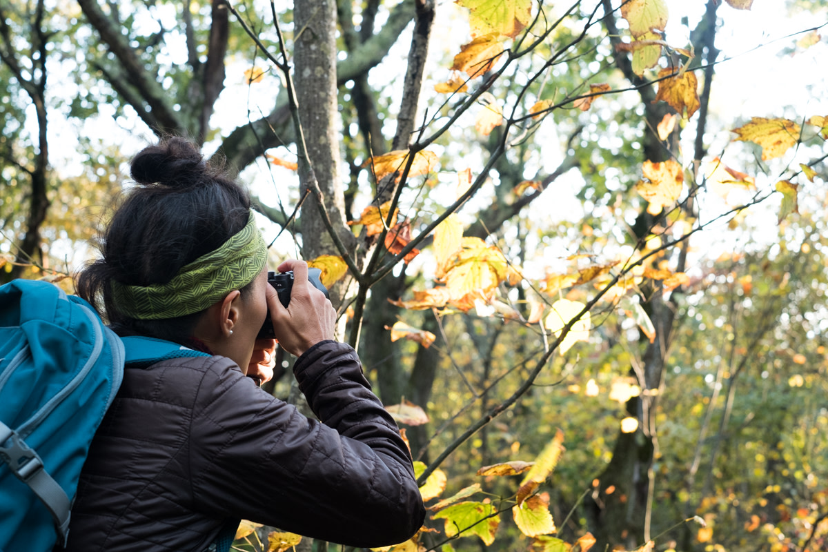 Leaf Peeping in Shenandoah National Park
