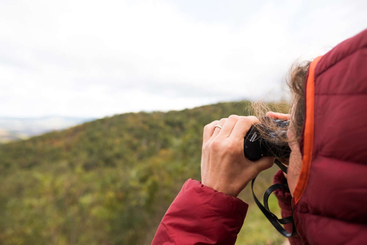 Leaf Peeping in Shenandoah National Park