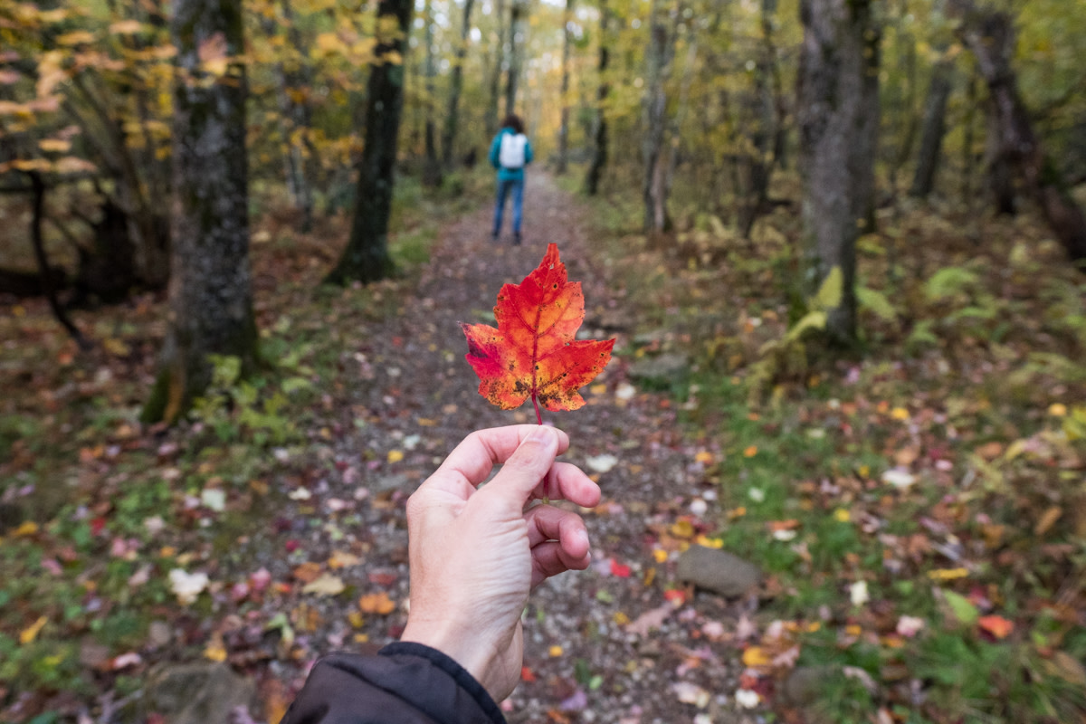 Shenandoah National Park Leaf Peeping