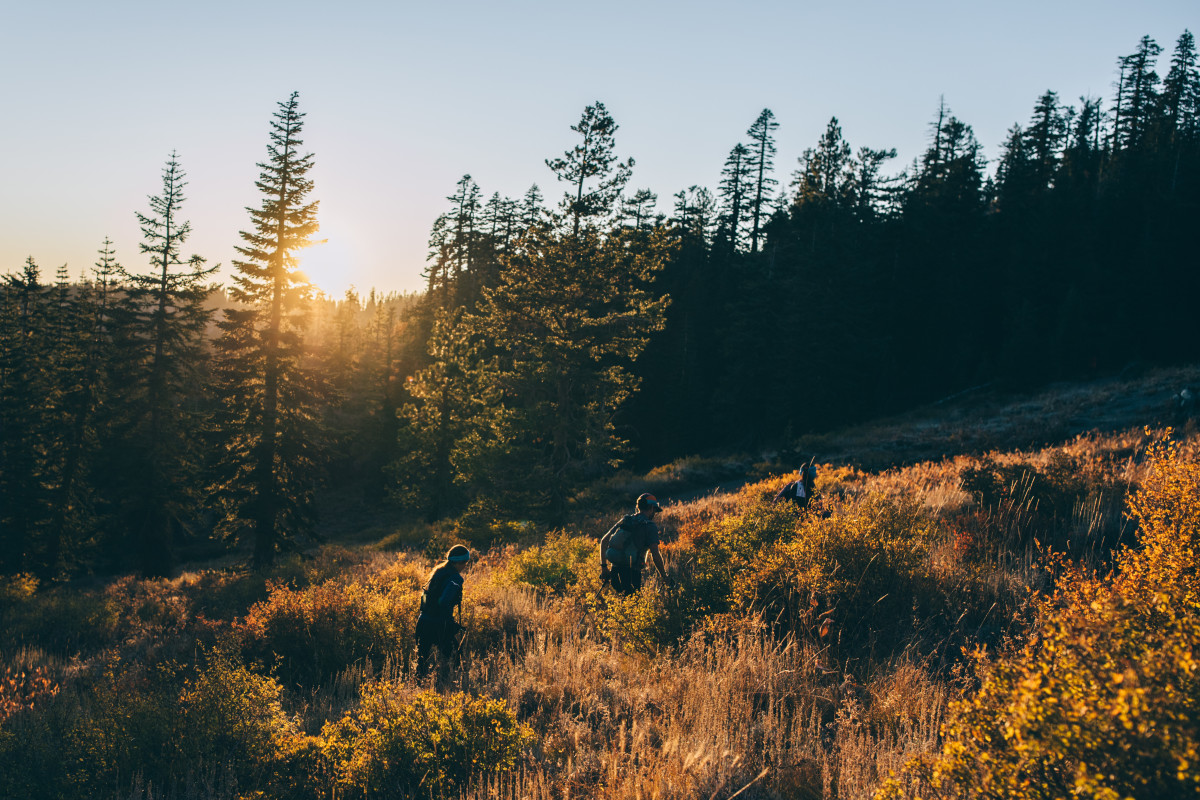 Sunset running