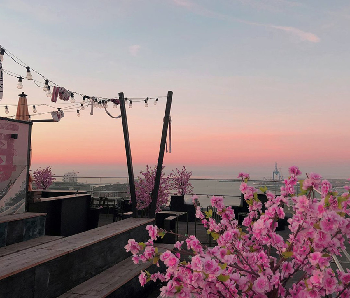 The roof top at sunset at the Story Hotel Studio Malmö